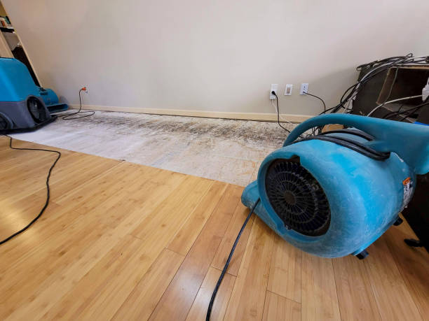 Professional Sewage Cleanup technician working in Mount Horeb, WI